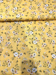 Lawn Dress 2pc